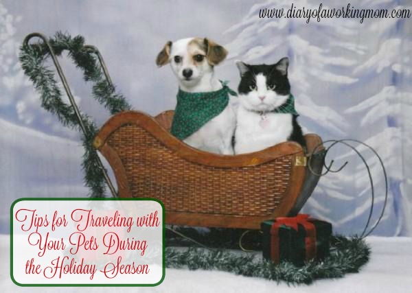 tips-for-traveling-with-your-pets-during-the-holiday-season