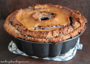 2 Ingredient Blueberry Angel Food Cake {Recipe} | Diary Of A Working Mom